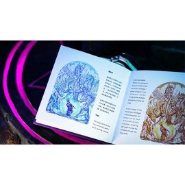 Mazzo di carte Portal Artist Boxset Playing Cards by Ark Playing Cards