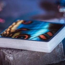 Spielkarten Morpho V2 (Sapphire) Playing Cards by TCC Fashion