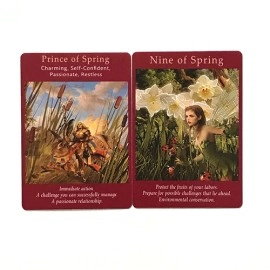 Mazzo di tarocchi Fairy Tarot Cards by Radleigh Valentine