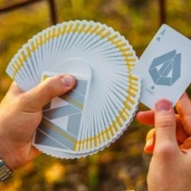 Mako Silversurfer Playing Cards by Gemini